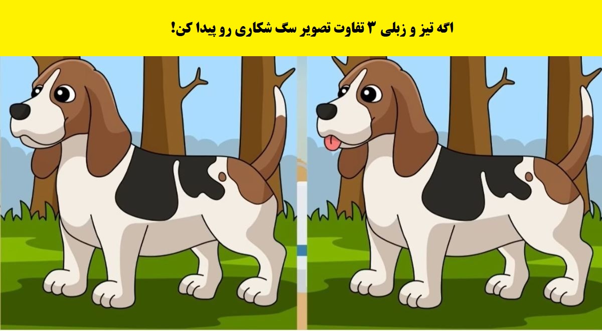 سوال تصویری تفاوت تصویر سگ شکاری