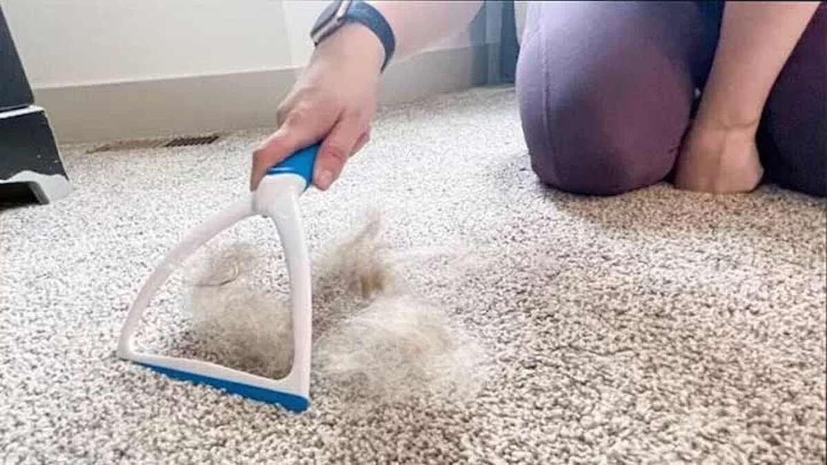 جمع کردن مو از روی فرش